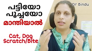 പട്ടിയോ പൂച്ചയോ മാന്തിയാൽ/Cat  Dog bite or scratch/Rabies/ പേപ്പട്ടി വിഷബാധ കുത്തിവെപ്പ്/Dr Bindu