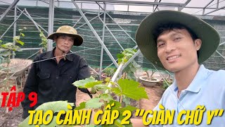 Tập 9: Toàn Tập Kỹ Thuật Bón Phân, Phun Thuốc, Lên Luống, Tạo Cành Cấp 2 Đúng Kiểu Giàn Nho Chữ Y