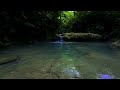 enhance your sleep with tranquil forest river sounds nighttime relaxation