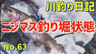 【北海道十勝の川釣り】ニジマス釣り堀状態【川釣り日記63】