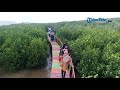 Indahnya Ekowisata Mangrove Lantebung Makassar