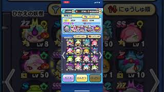 動画外で単発でシュウ当ててしまったアホ #妖怪ウォッチぷにぷに  #ぷにぷに #ニャンボ