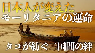 【日本人が変えた】モーリタニアの運命：タコが紡ぐ二国間の絆【人物解説】