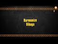 harmonize vibaya lyrics video