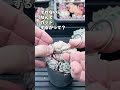 多肉あるある　ついついやっちゃう衝動的なやつ succulent エケベリア 多肉植物 succulents mokimoki モキモキ