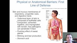 Chapter 14 - Innate Immunity