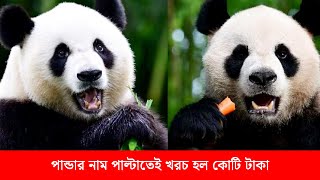 পান্ডার নাম পা'ল্টাতেই খরচ হল কোটি টাকা| Dainik Purbokone