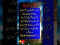 کافر نہ ہونا Islamic Quotes|Urdu Quotes |Inspirational Quotes #islamicstatus #viral #love #shorts