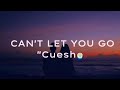 CAN'T LET YOU GO BY CUESHE|SONG AND LYRICS|AESTHETIC SONG LYRICS