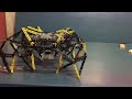 lego strandbeest