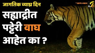 सह्याद्रीत नेमके किती वाघ ? | International Tiger Day | sahyadri tiger | Maha MTB