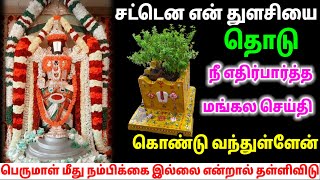 சட்டென இந்த அதிர்ஷ்ட துளசியை தொடு/ #பெருமாள் #perumal