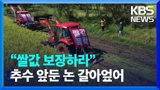 “쌀값 보장하라”…추수 앞둔 논 갈아 엎은 성난 농심 / KBS  2022.09.22.