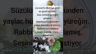 DİNİ SÖZLER _ Mevlana - Çaresizlik Allah’tan gelen en güzel işarettir #mevlana #dinisözler