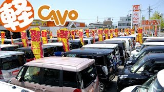 CAVO｜福井県・軽未使用車専門店