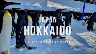 Japan Snowy Hokkaido｜Short Film ｜Cinematic Video｜Shot on iPhone｜Place to visit after lockdown｜北海道 ｜