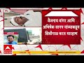 beed crime वाल्मिक कराड संबंधित बातम्या पाहिल्यानं तरुणाला मारहाण बीडमध्ये धक्कादायक प्रकार