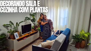 VLOG DECORANDO A CASA DA LETÍCIA COM PLANTAS: MELHORES PLANTAS PARA DENTRO DE CASA | FOLHAGENS