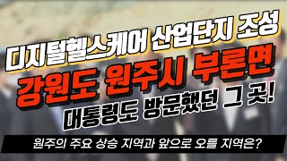 [상담] 강원도 원주시 부론면 단강리 토지 전망 ｜정연훈 부동산 전문가