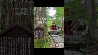 日光ぼっち旅😌⑨輪廻転生を感じる神社⛩️滝尾神社⛩️魂の還る場所🪷