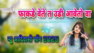 फाकडे वेते ता उडी आवेतो वा || न्यू आदिवासी सोंग 2025