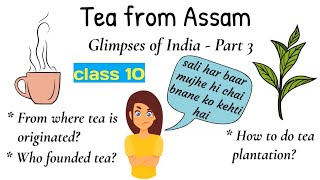 tea from assam class 10 / glimpses of india 3 / tea from assam class 10 animation in hindi