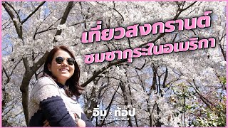 ซากุระบานในอเมริกา 🇺🇸 I Cherry Blossoms Festival | อิ่มtop Ep.106