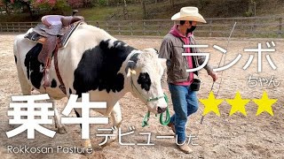 乗牛デビューを果たしたランボちゃん【六甲山牧場】馬だと思ってる牛ランボルギーニ