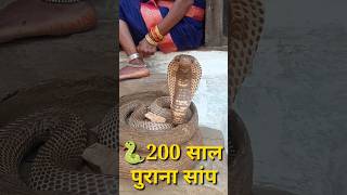 बहुत पुराना साँप🐍🐍😂😂