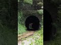 【陣ヶ峰トンネル飛び出し】jr東日本・磐越西線　キハ110系　”jingamine tunnel” in maoroshi sakihana banetsu west line jr east