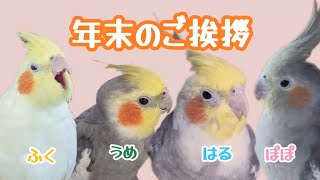 年末のごあいさつと今年最後の動画😊