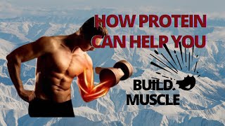 HOW DOES WHEY Protein Help Build Muscle?