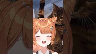 【#shorts 】痛いです！！猫ちゃん！！ #新人vtuber #きっか #funnyvideo