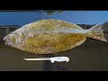 The EASIEST How to Fillet Halibut Video! *Step by Step*