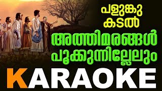 Athimarangal Pookunnillelum Karaoke with Lyrics | Palunkukadal | Fr Shaji Thumpechirayil