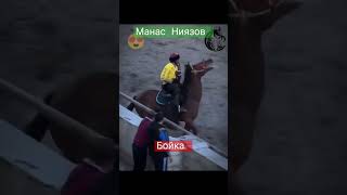 Манас Ниязов \u0026 Бойка