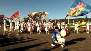 下野よさこい2016 10/23 　チーム☆利ゑ蔵　踊り広場