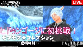 【FF14】#178 ヒーラーの旅 ヒドゥンゴージに初挑戦！「モグモグ★コレクション～虚構の刻～」 【暁月のフィナーレ】