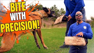 Mastering Targeting in Bitework: Precision Training for Protection Dogs