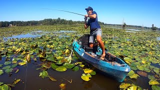 Fishing for the LILLY PAD MONSTER!!! --(INSANE BLOWUPS)