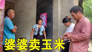 小丽家卖玉米，看公婆年收入多少钱？俩人兴高采烈露出满足的笑容【姑嫂一家亲】