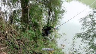 野钓:尴尬！不起眼的小野河，高坎位中大鲤鱼，人差点被拖下水