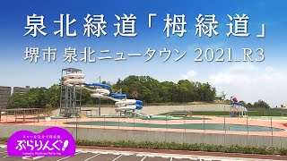 泉北緑道 「栂緑道」       堺市 泉北ニュータウン  2021_R3