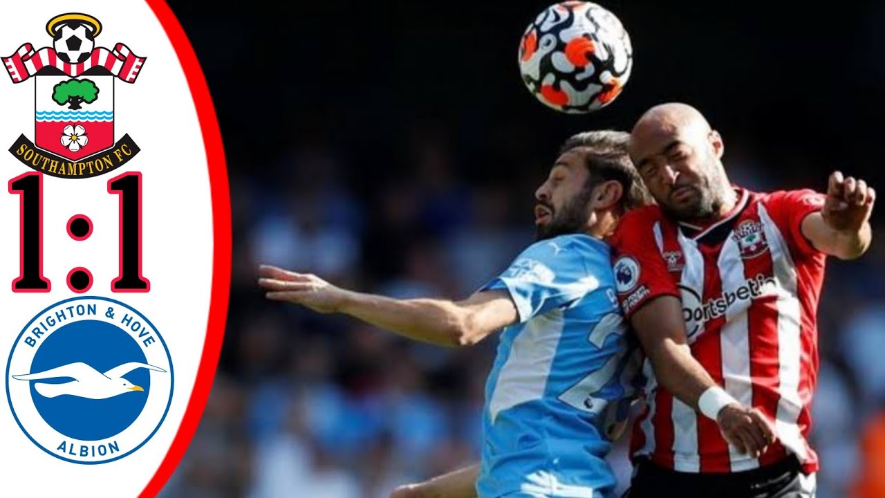 Southampton Vs Brighton 1-1 Extended Highlights All Goals|Premier ...