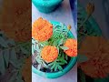 beautiful marigold flowers 😍 gardening music