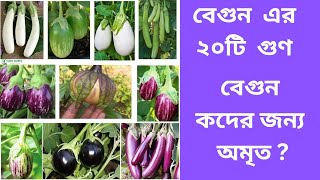 বেগুন (Brinjal) এর ২০ টি উপকারিতা @sanjoyfitcoach_