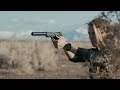 silencerco soundscape sparrow 22