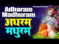 Adharam Madhuram (Hindi Version) | Swasti Mehul | Hey Krishn Tere Hoth Madhur | Janmashtami Bhajan