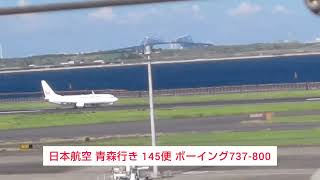 日本航空 青森行き 145便 ボーイング737-800 2023.09.18