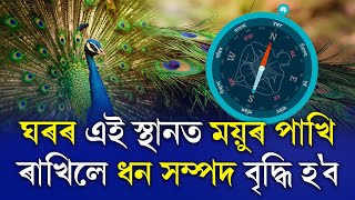 ঘৰৰ এই স্থানত ময়ুৰ পাখি ৰাখিলে ধন সম্পদ বৃদ্ধি হ'ব || The Spot ON